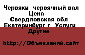 Червяки, червячный вал › Цена ­ 1 - Свердловская обл., Екатеринбург г. Услуги » Другие   